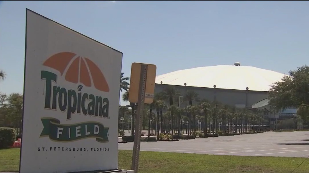 Future plan for the Rays