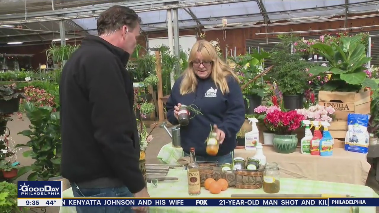 Can vodka be used as a pesticide?