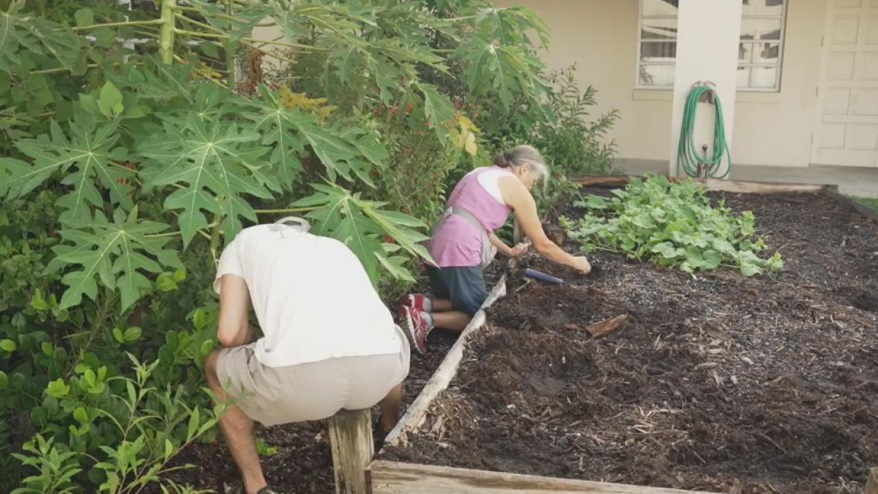 Volunteers grow community garden