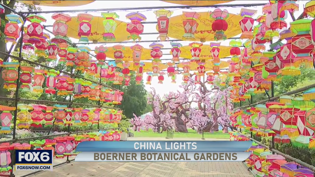 China Lights returns after 2 year haitus