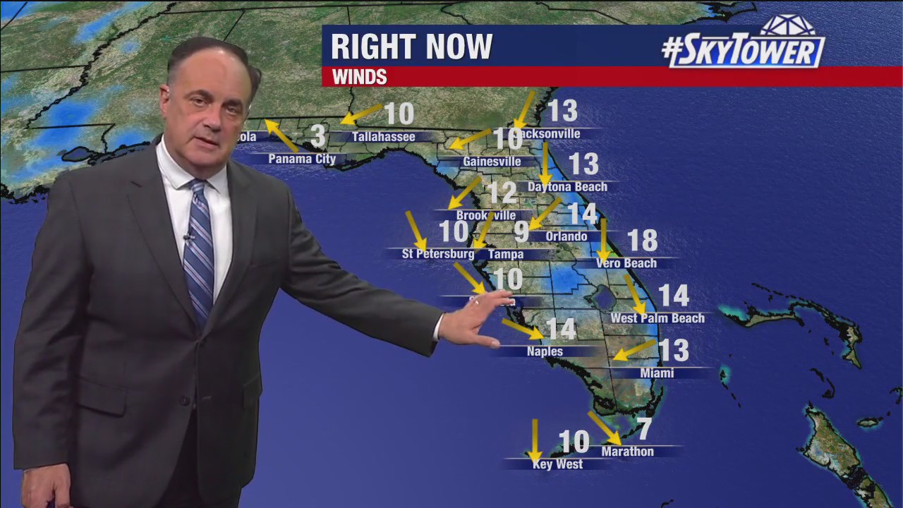 Tampa weather: Clear, cool evening in Bay Area
