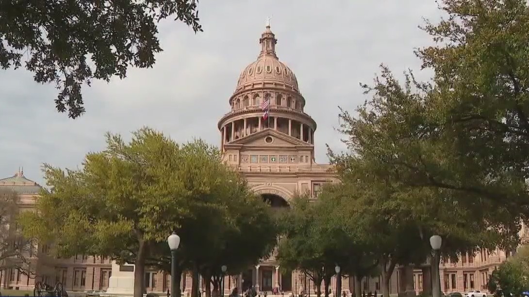 Texas politics: Israel and school choice