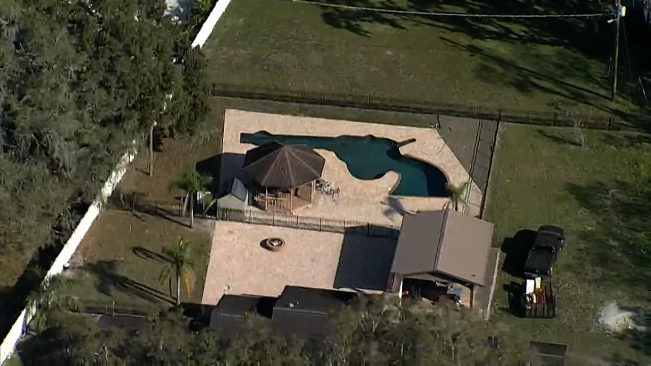 Aerial view: Gun-shaped pool in Pasco County, Florida backyard