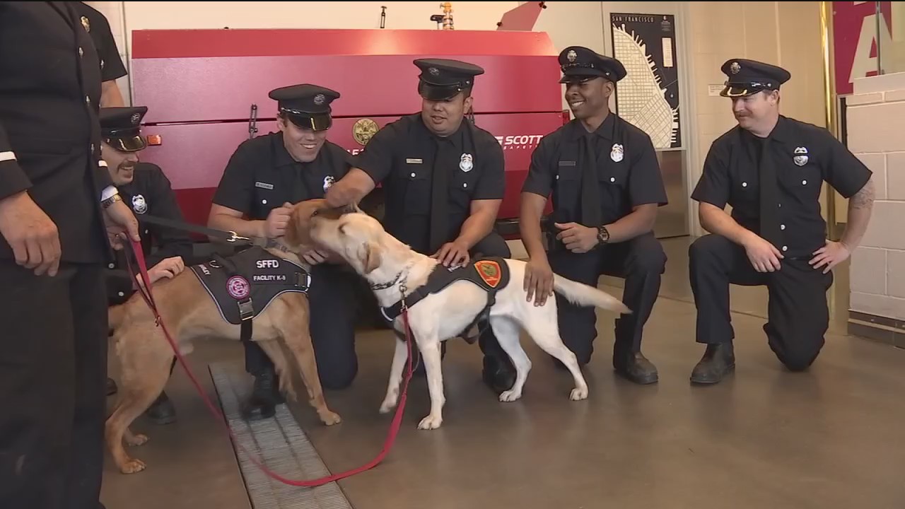 San Francisco Fire Department gets two new members