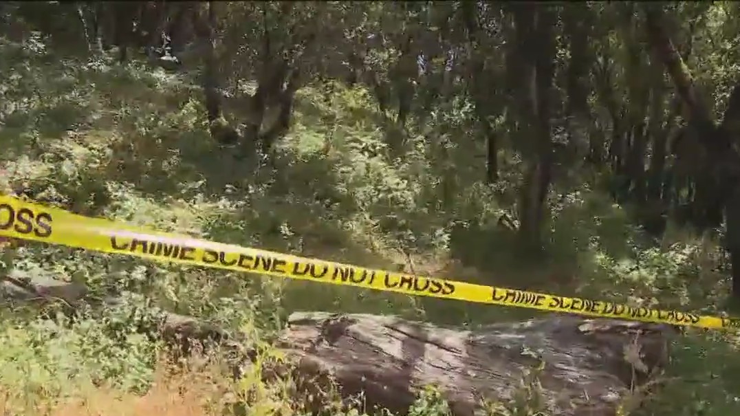 OPD investigates discovery of human remains