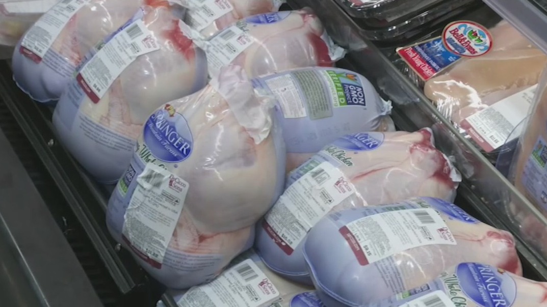 Looming turkey shortage is symptom of failing supply chain