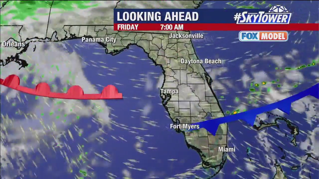 Tampa weather | Few clouds, patchy fog