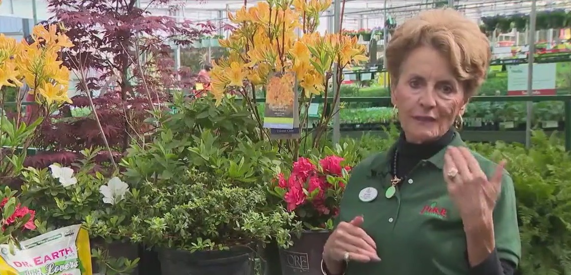 Pike Nurseries talks about plants