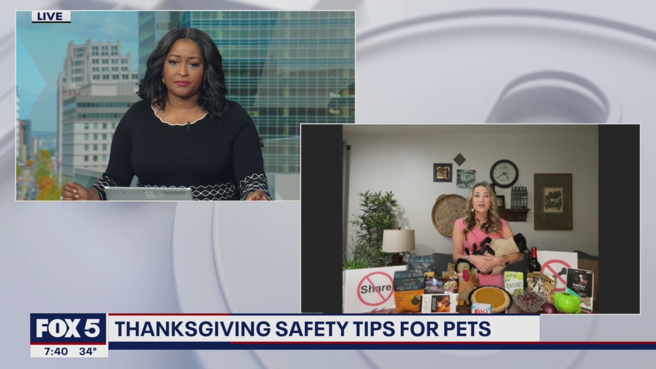 Thanksgiving safety tips for pets