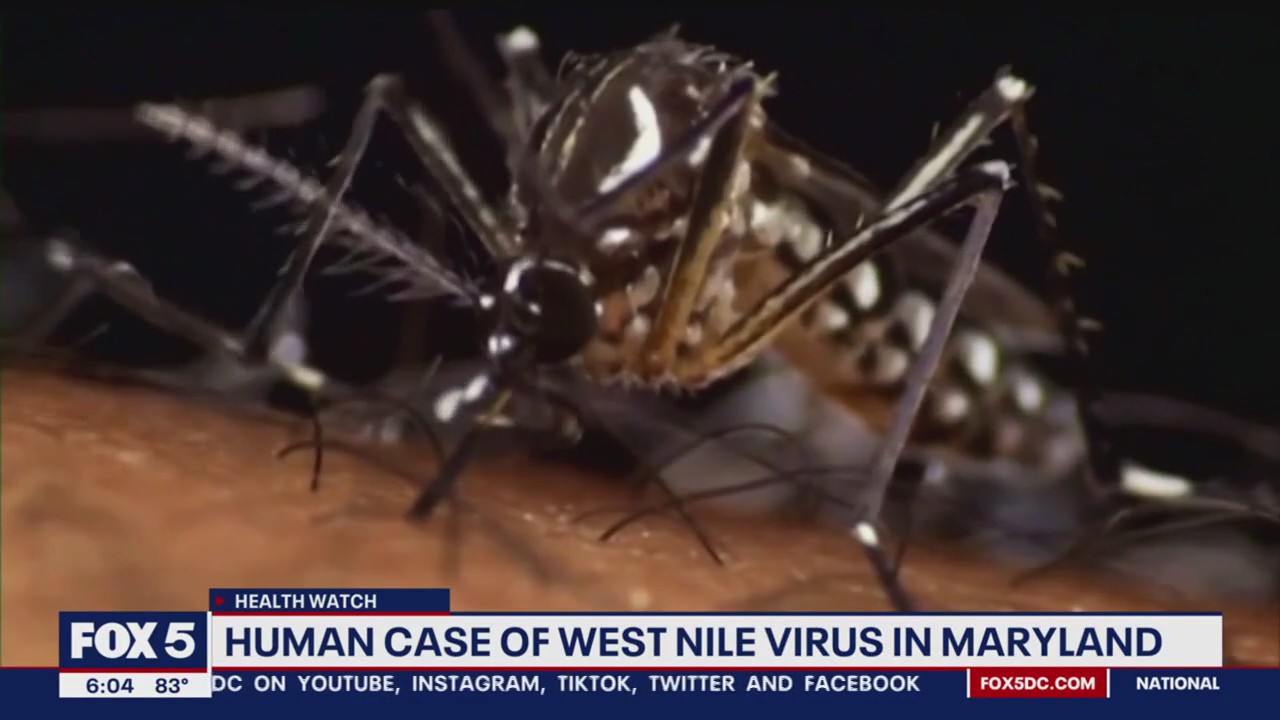 Human case of West Nile Virus reported in Maryland