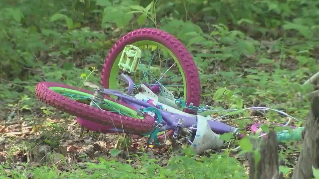 8-year-old bit by venomous snake