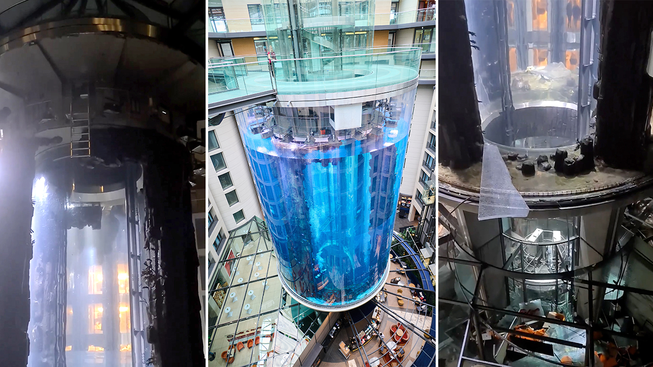 Huge Berlin aquarium - that housed 1,500 tropical fish - bursts