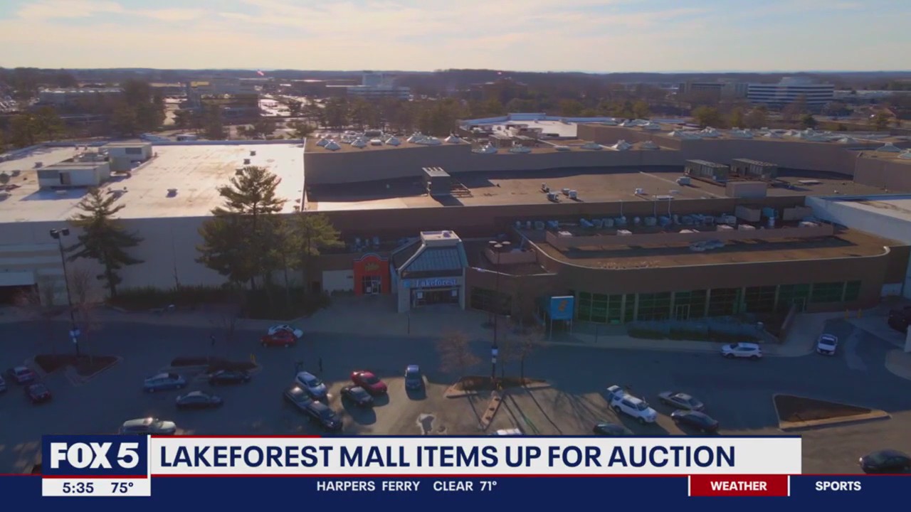 Lakeforest Mall items up for auction