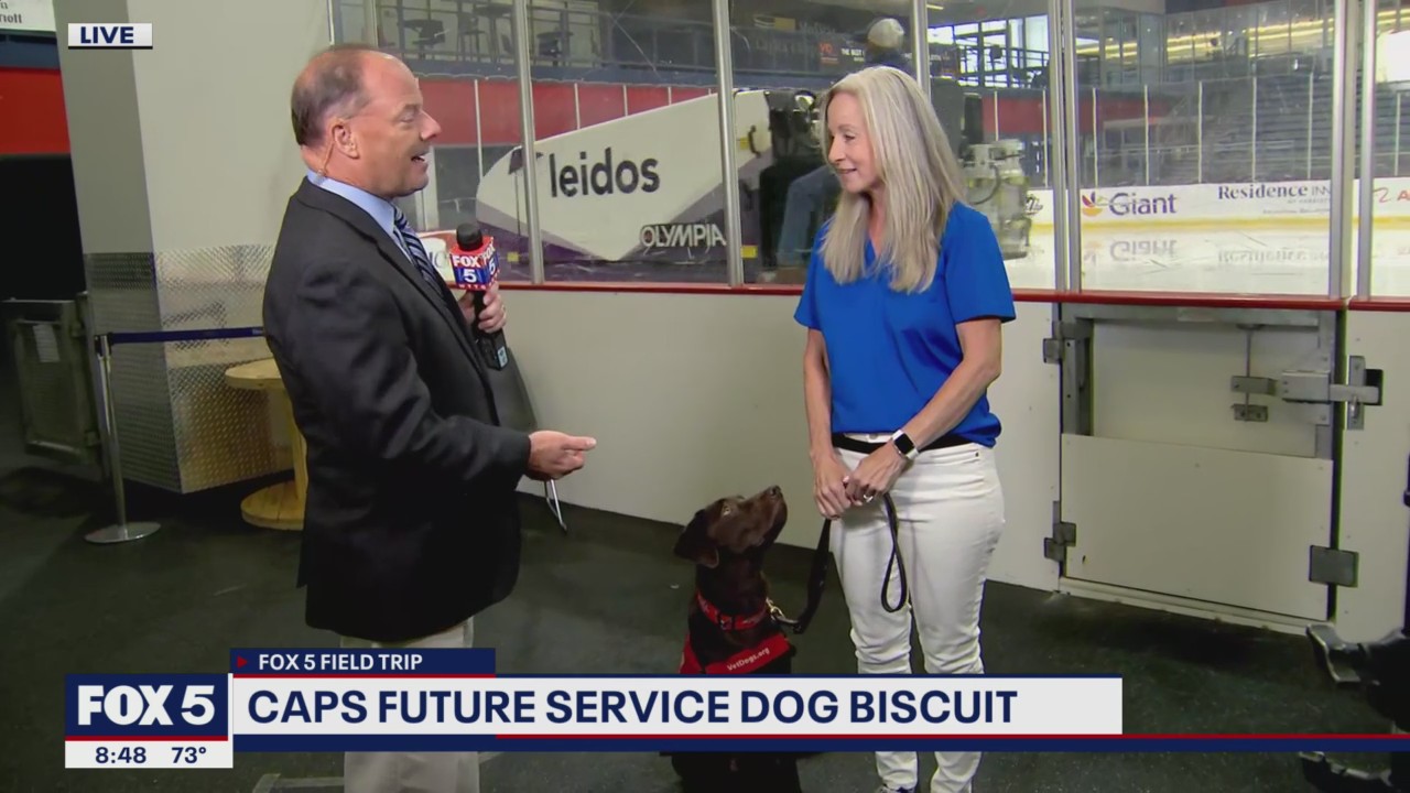 FOX 5 Field Trip: Biscuit, future service dog with for the Washington Capitals!