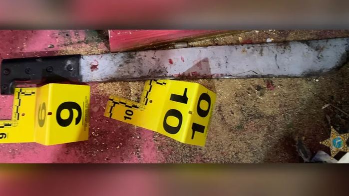 'Whacked' Florida man armed with machete crawls into bed with victim, says 'I love you' before being killed by deputies
