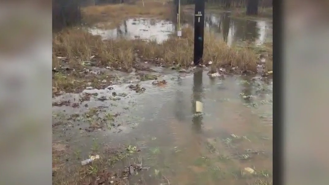 Family's backyard floods during heavy rain