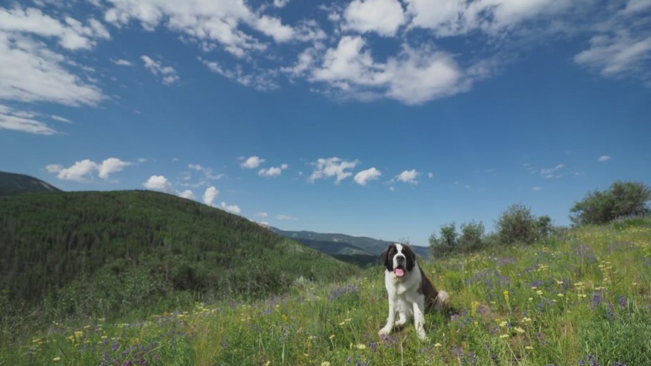 Austin Travels talks about traveling to Beaver Creek, Colorado