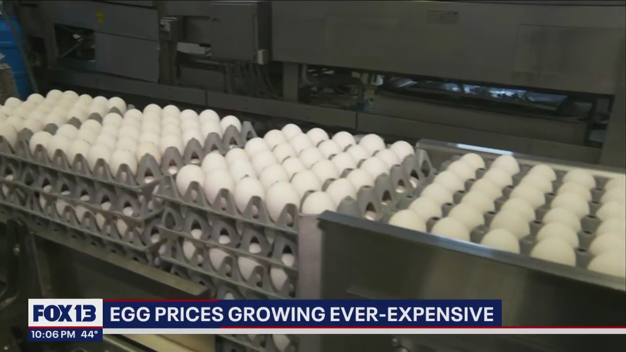 Egg prices growing everexpensive amid bird flu concerns Flipboard