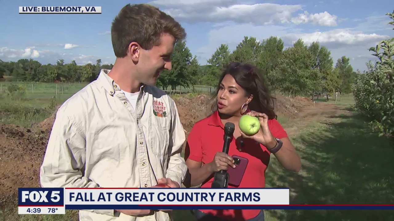 Fall at Great County Farms