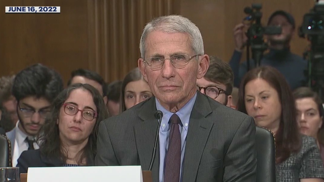 Fauci to step down after decades as top US infectious disease expert
