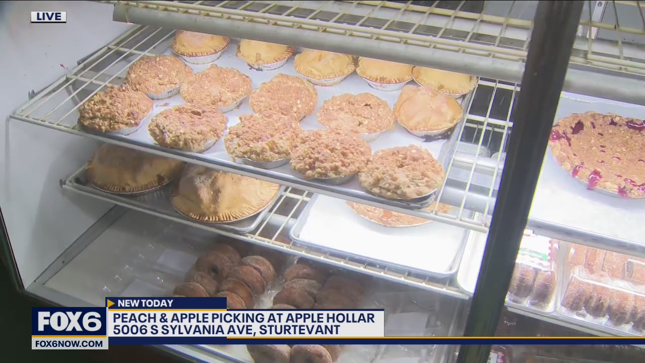 Peach season at Apple Holler