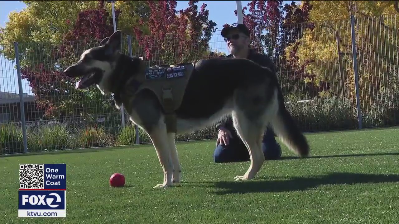 Pets and Vets program fosters and trains rescue dogs to change veterans’ lives