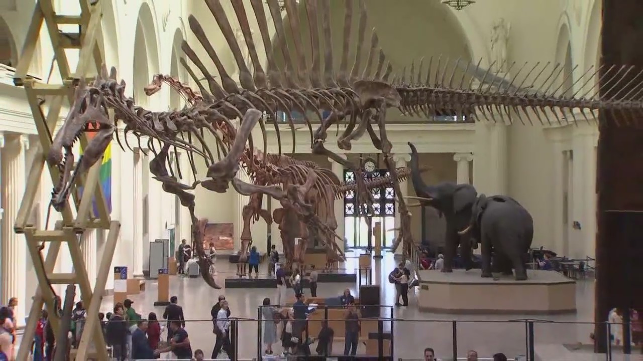 Field Museum asking for publics help in naming Spinosaurus