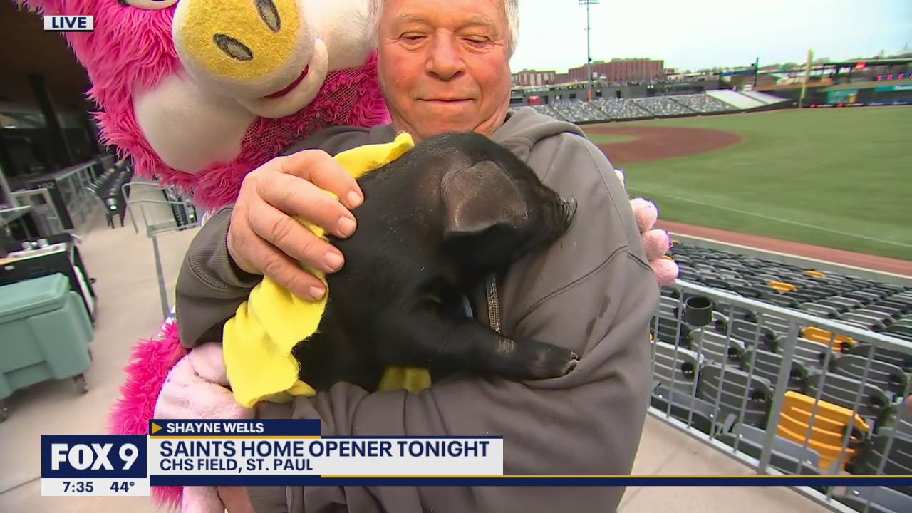 Saints announce name for this year's ball pig