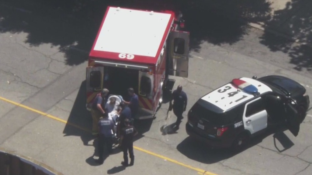 Metro bus driver stabbed in Venice