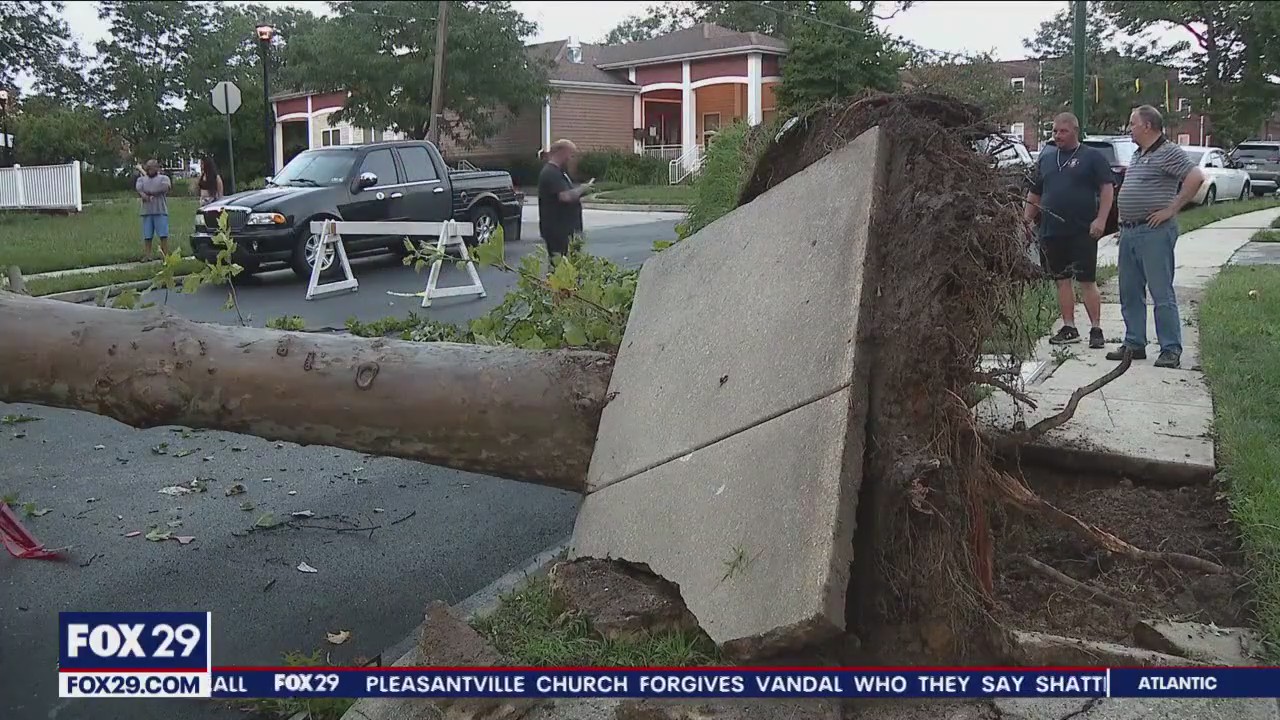 Strong wind topples trees in Delaware County