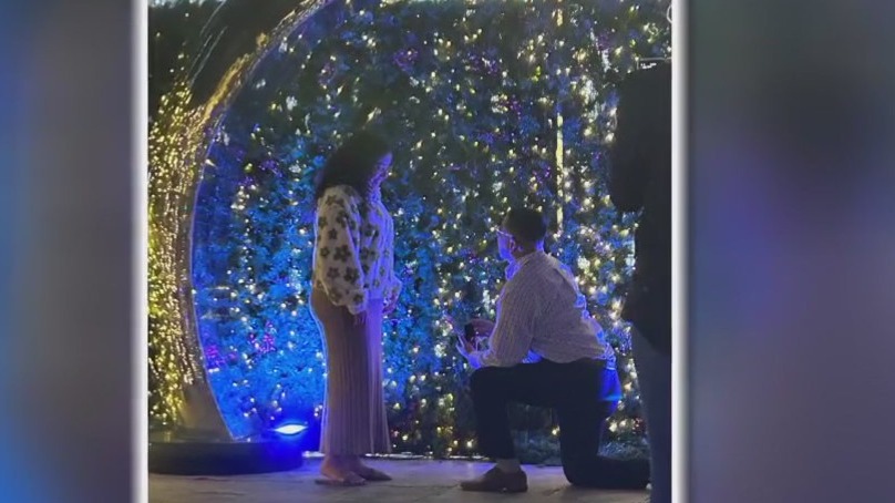 Christmas proposals at Enchant