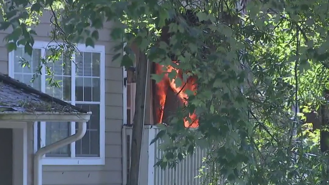 Pets rescued from burning apartments