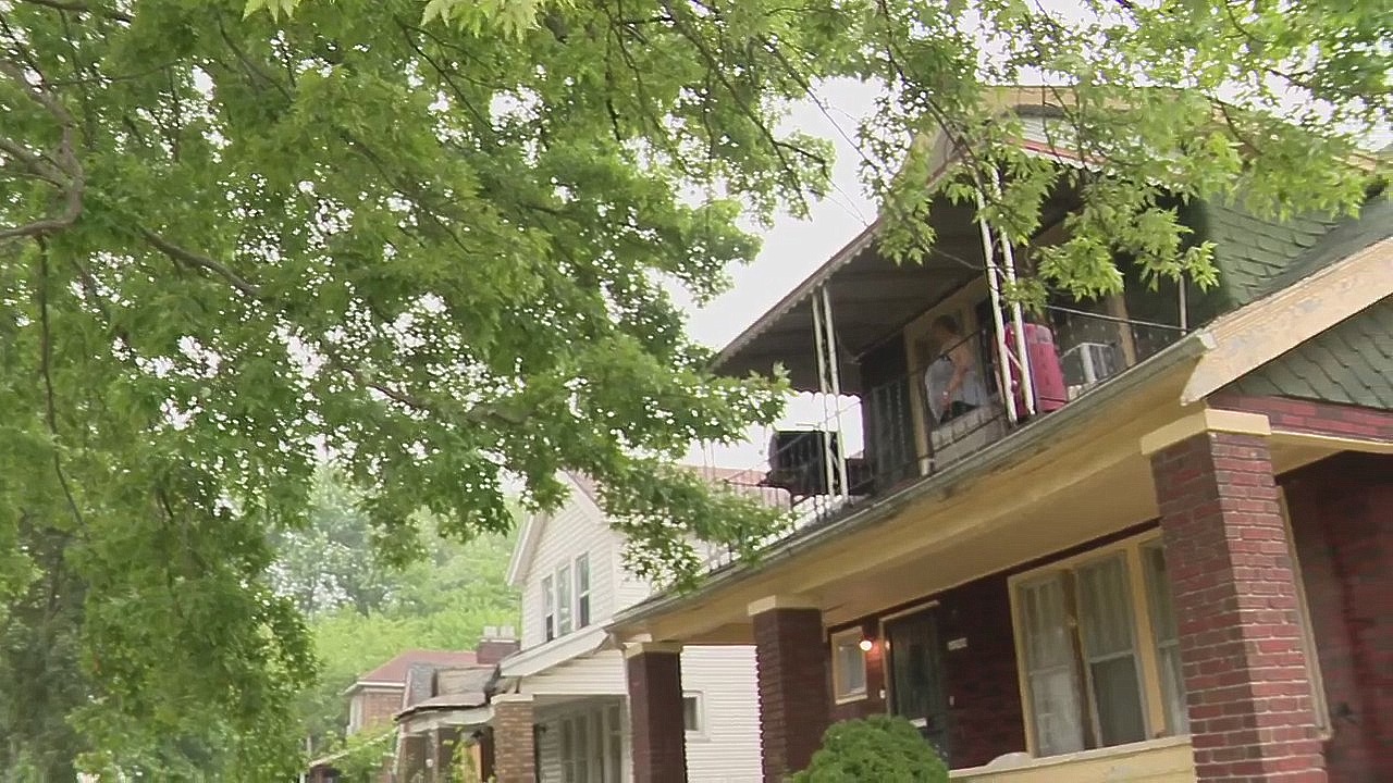 Detroit woman says city has ignored pleas over dangerous tree