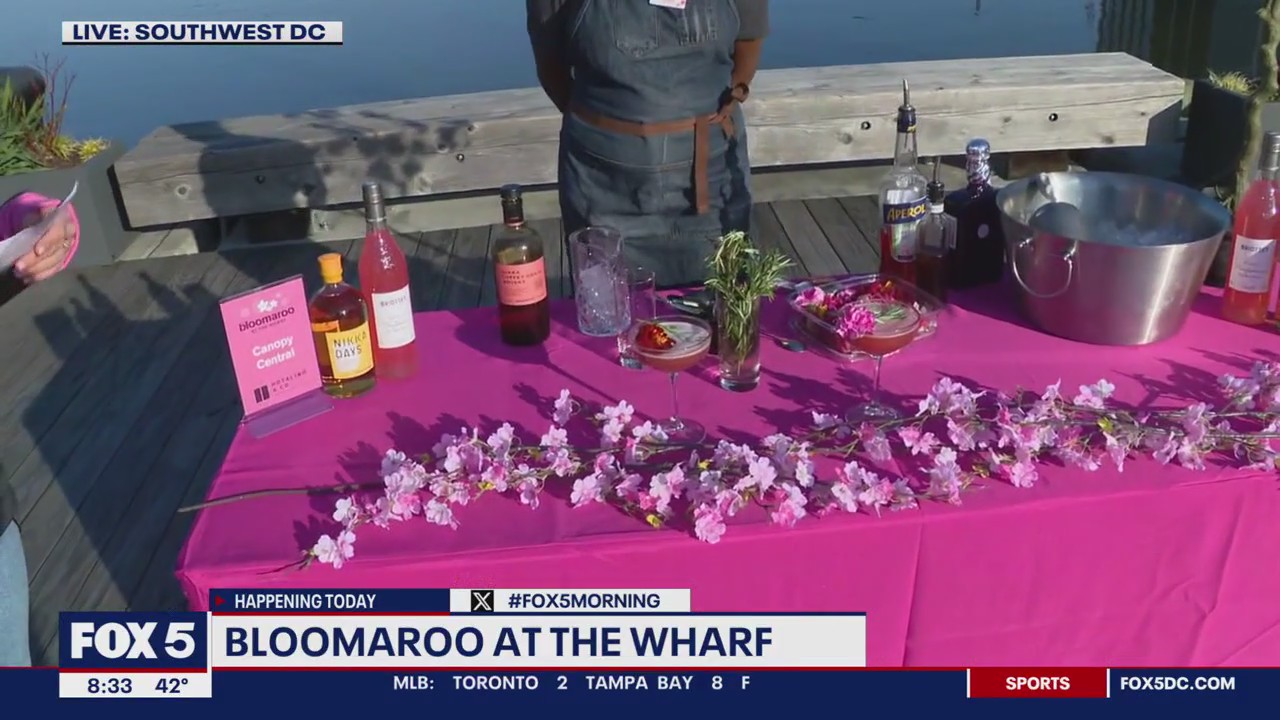 Bloomaroo takes over The Wharf