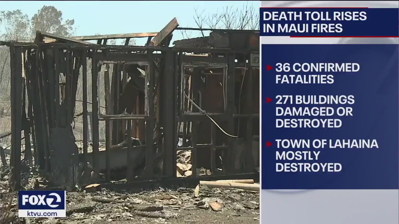 Maui fire devastation by the numbers