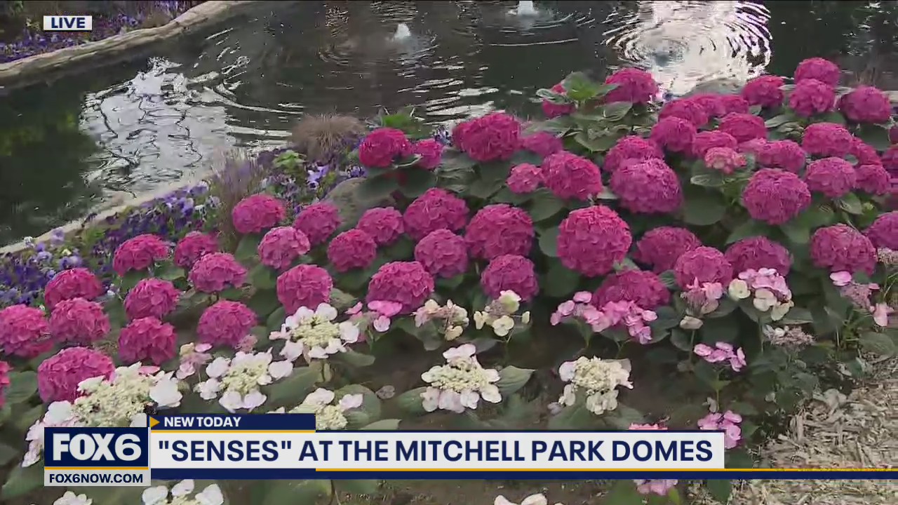 This week marks the last week of The Domes Spring Senses show