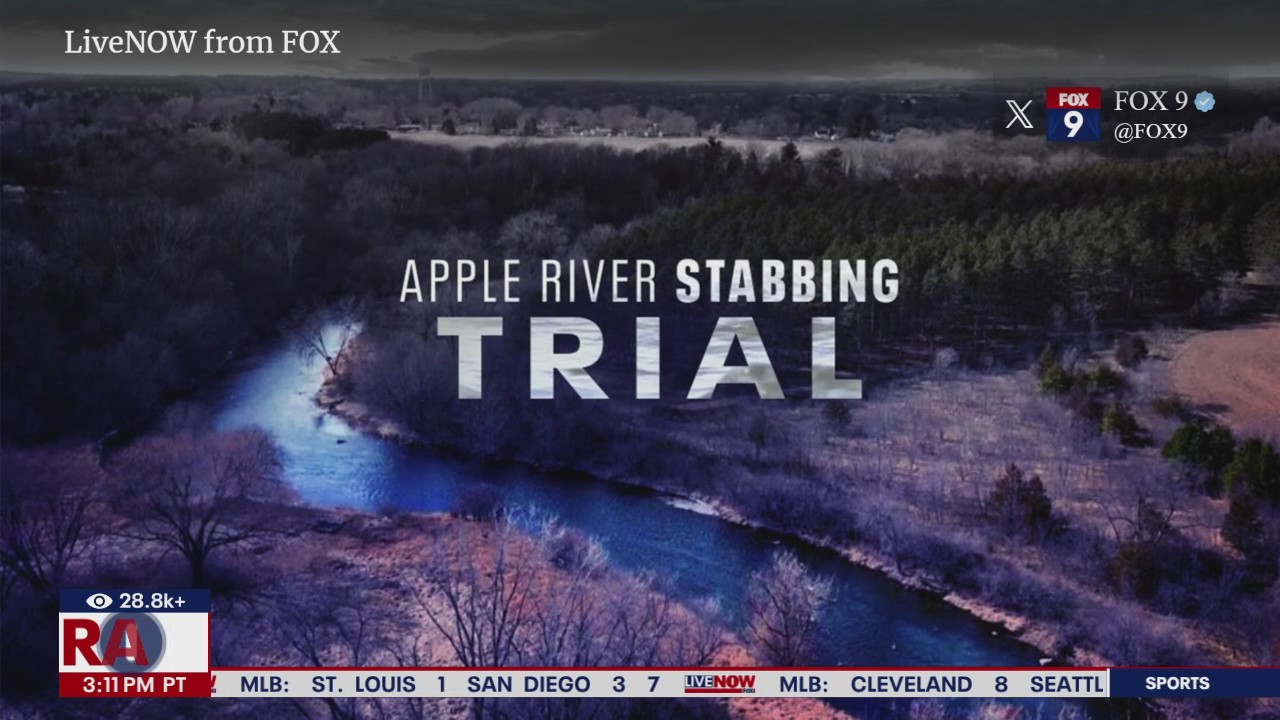 Apple River stabbing trial: Defendant's ex-wife testifies