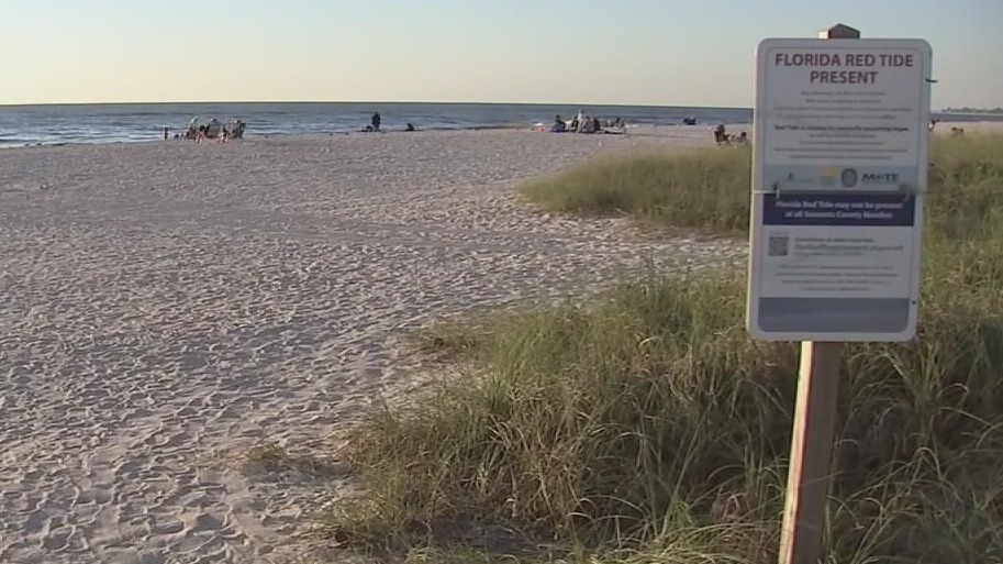 Red tide returns to some Sarasota beaches