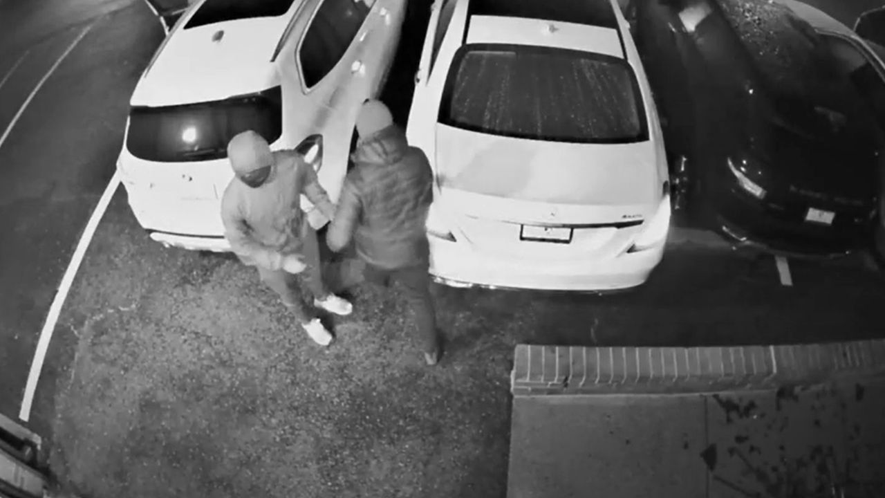 Surveillance video shows car dealership robbery in Silver Spring