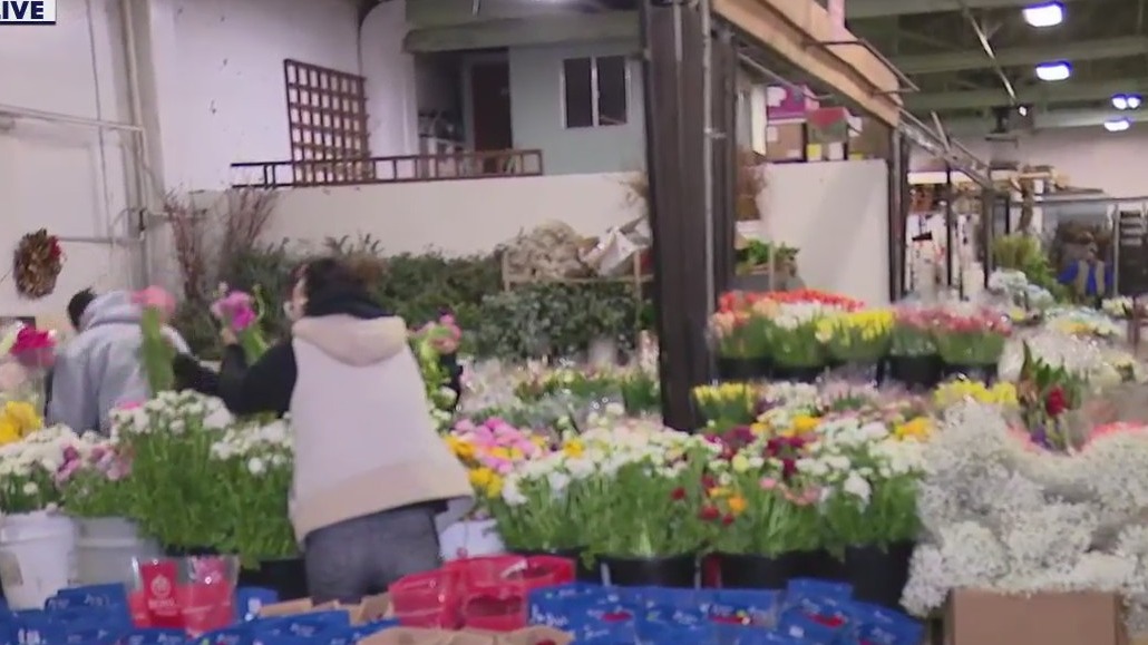 Getting flowers early for Valentine's Day
