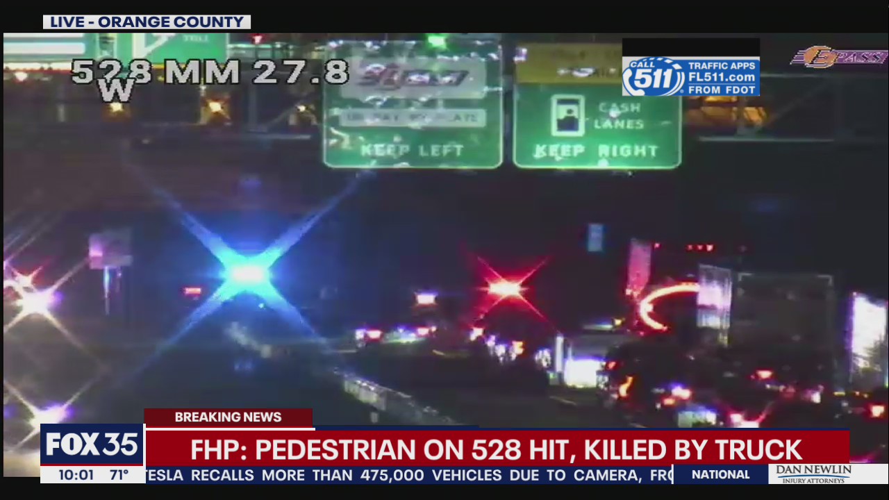 FHP: Pedestrian fatally struck by truck on State Road 528