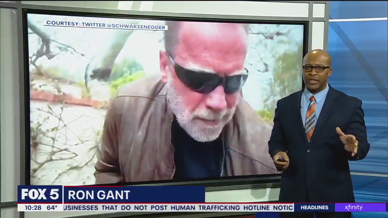 Fed up by LA pothole, Arnold Schwarzenegger fills it himself