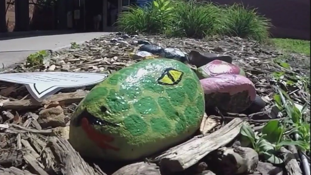Growing 'rock snake' in West St. Paul