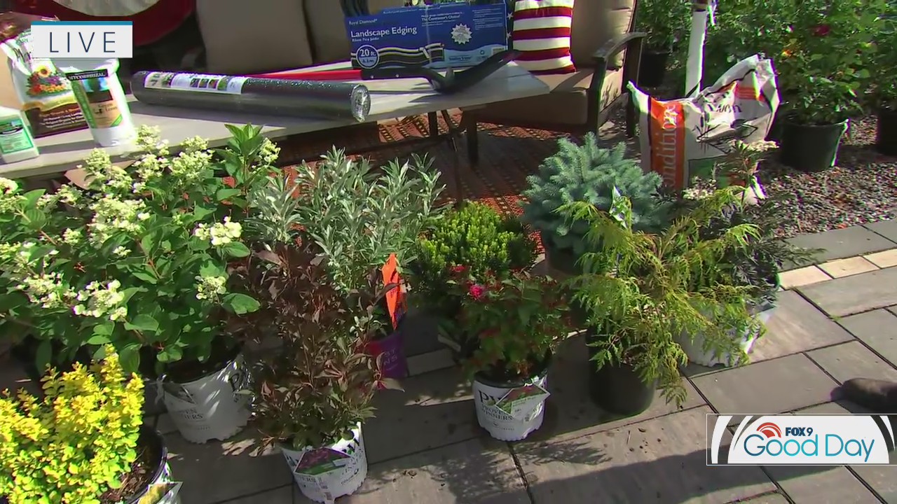 Adding some curb appeal to your home