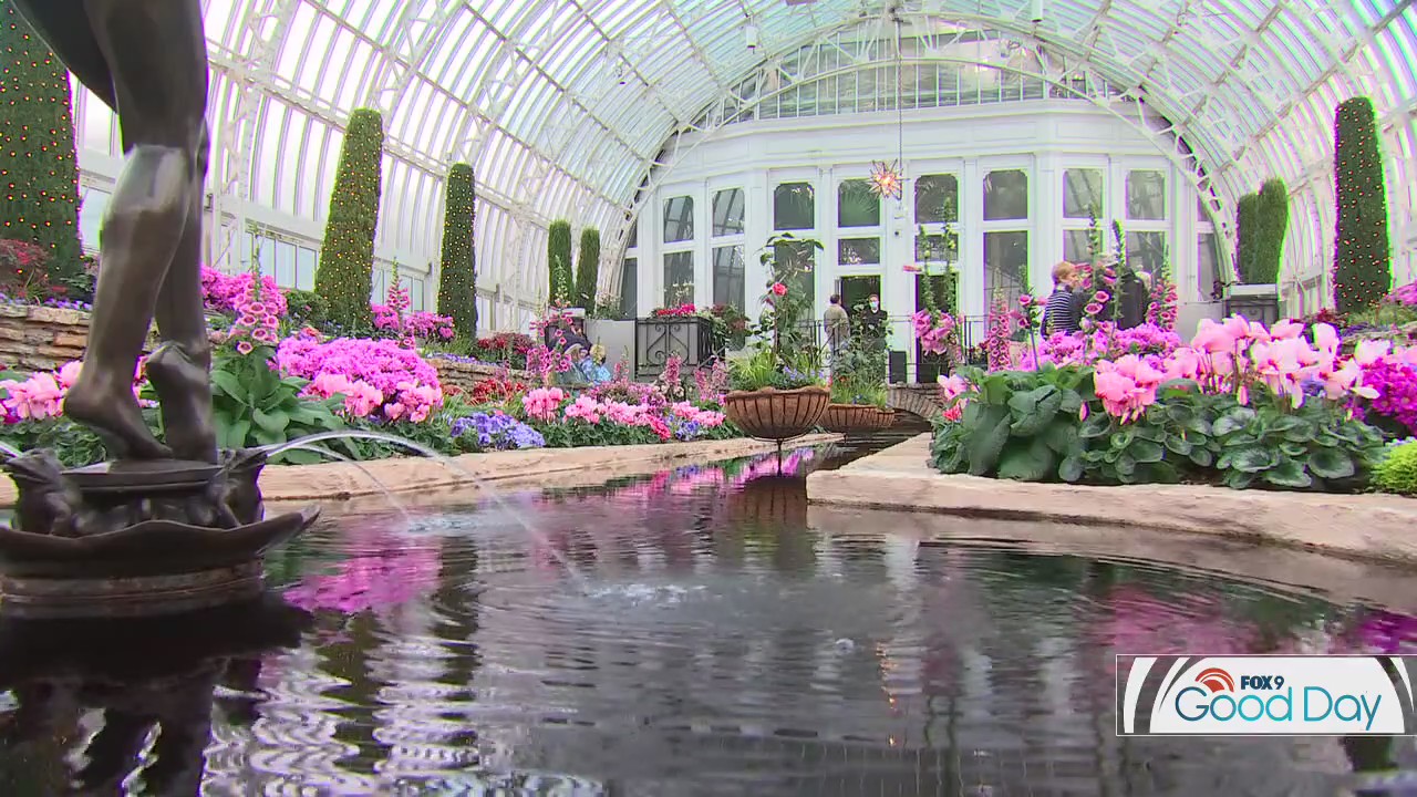 Fight Spring fever with a trip to Como Conservatory's Winter Flower Show