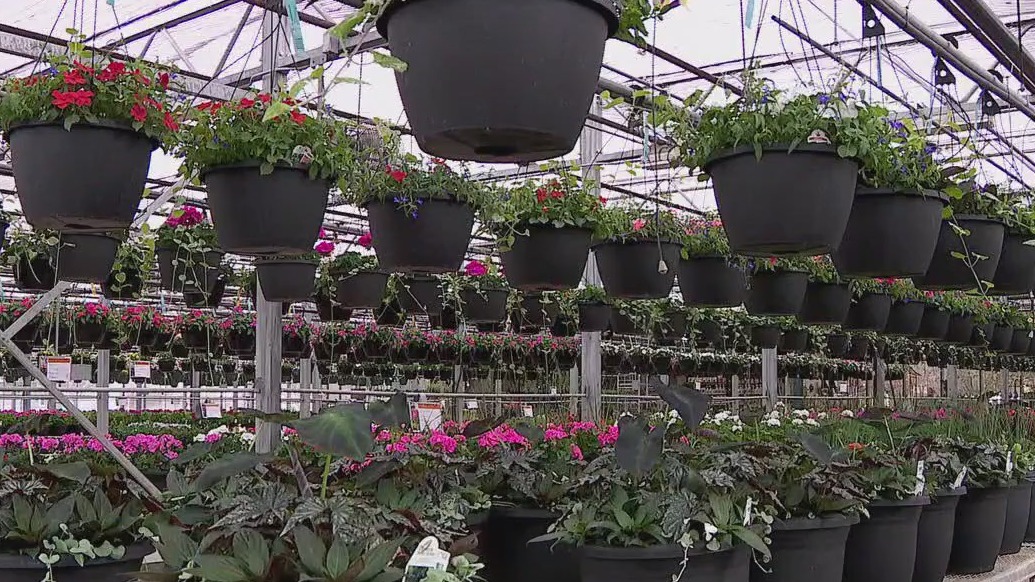 Spring planting in MN: When to start