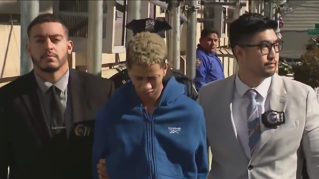 Suspects accused of NYPD beating in custody