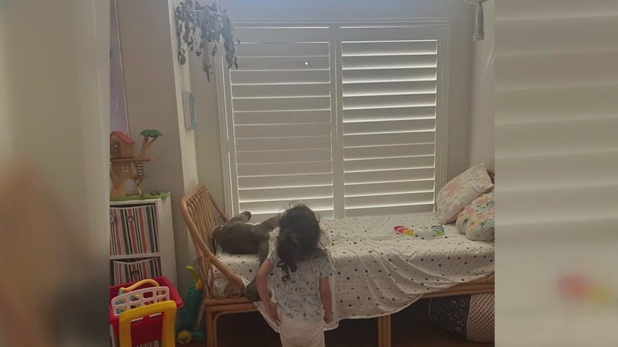 Stray bullet from Plano short-term rental hits 3-year-old's playroom