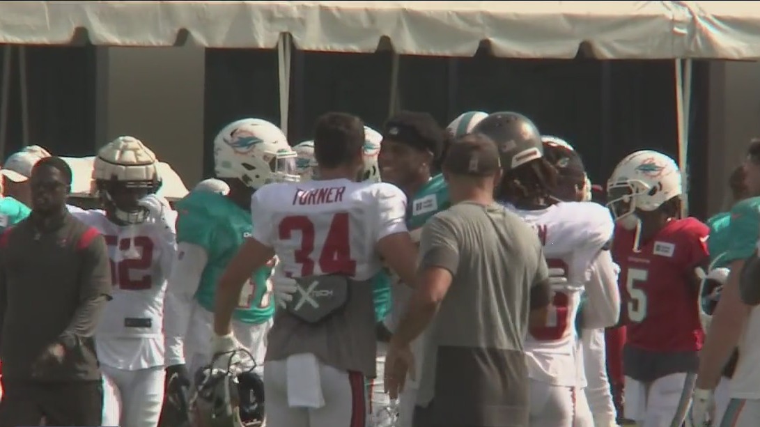 Dolphins fans tamper way into Bucs training camp