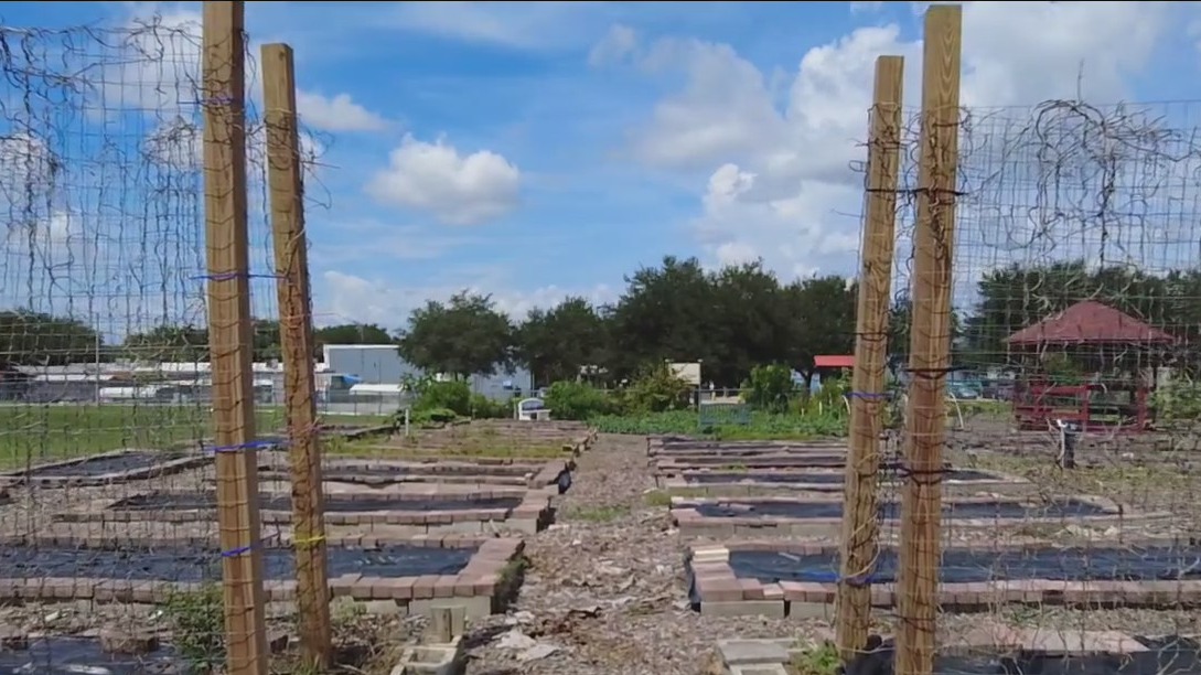 Seeds of Faith Community Garden helps provide fresh produce for families in need